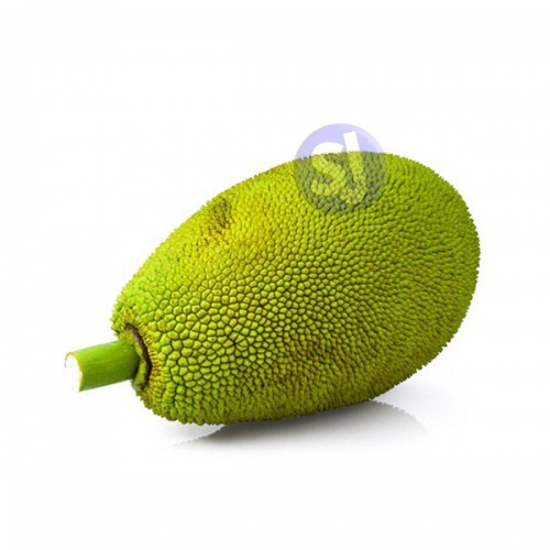 Jack Fruit 1Qty