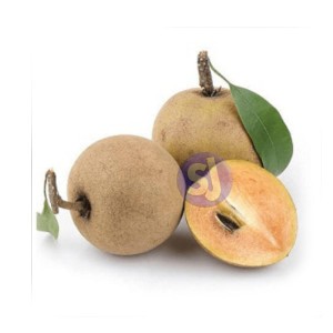 SAPODILLA