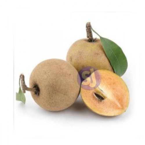 SAPODILLA