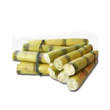  SUGAR CANE ( AKHU 