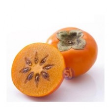 PERSIMMON