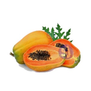  PAPAYA