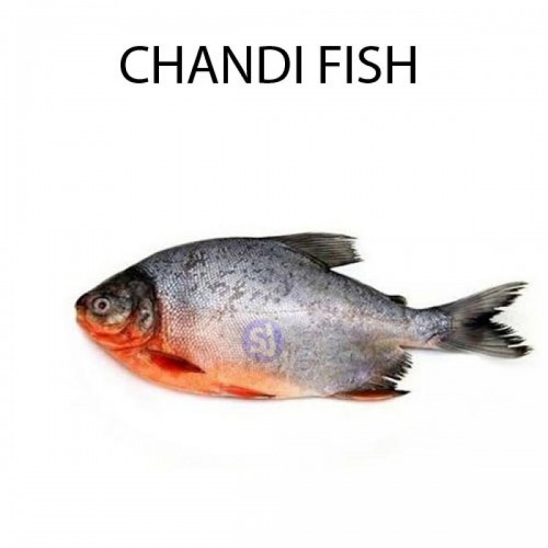 CHANDI FISH - 1 KG