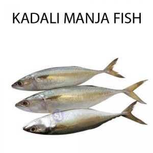 KADALI MANJA FISH - 1 KG