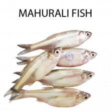 MAHURALI FISH - 1 KG