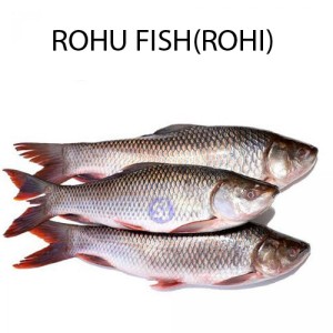 ROHU FISH 1 KG