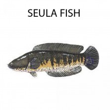 SEULA FISH - 1 KG