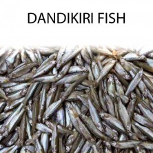  DANDIKIRI FISH - 1 KG