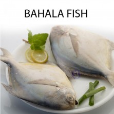 BAHALA FISH - 1 KG