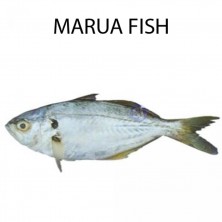 MARUA FISH - 1 KG