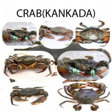 CRAB 1KG