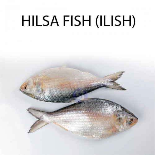 HILSA FISH 1KG