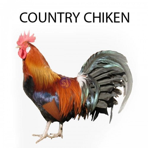 COUNTRY CHICKEN