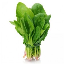  SPINACH (PALANGA SAGA)