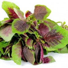 STEM AMARANTHUS (KHADA SAGA) - 100 gm to 300 gm