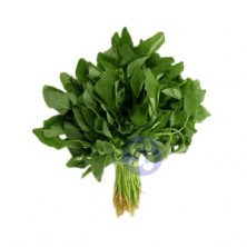 GREEN AMARANTHUS (LEUTIA SAGA) - 100 gm to 200 gm