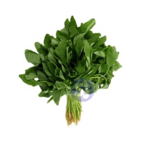 GREEN AMARANTHUS (LEUTIA SAGA) - 100 gm to 200 gm