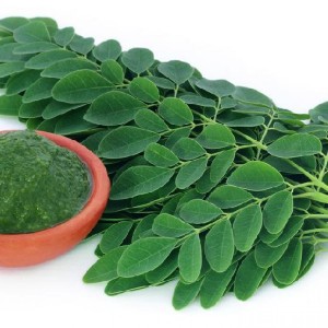 MORINGA LEAVES (SAJANA SAGA) - 100 to 200gm