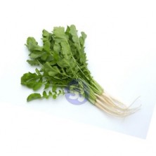 RADISH LEAVES - MULA SAGA - 100 gm to 200 gm